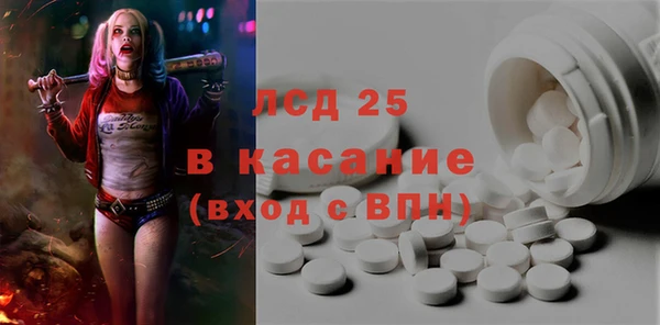 прущие грибы Волосово