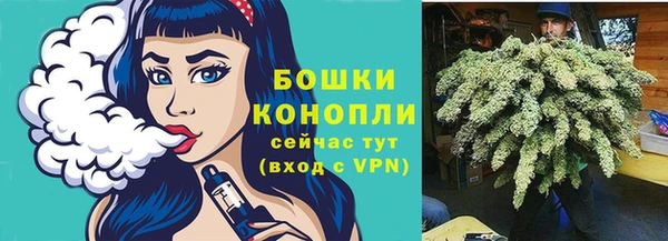mdpv Вяземский