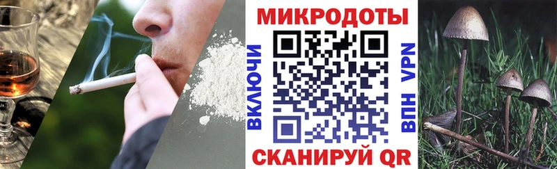 Купить где  Ядрин  Псилоцибиновые грибы Cubensis 